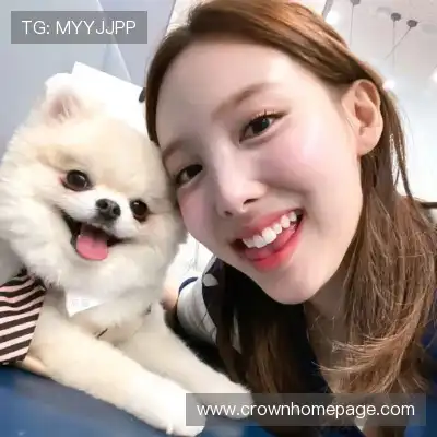 窦芸昀